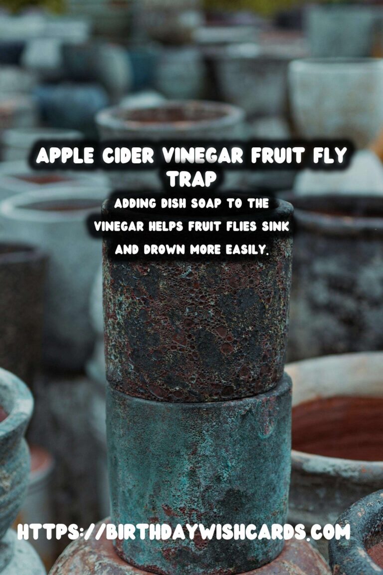 Homemade Fruit Fly Trap: Apple Cider Vinegar Guide