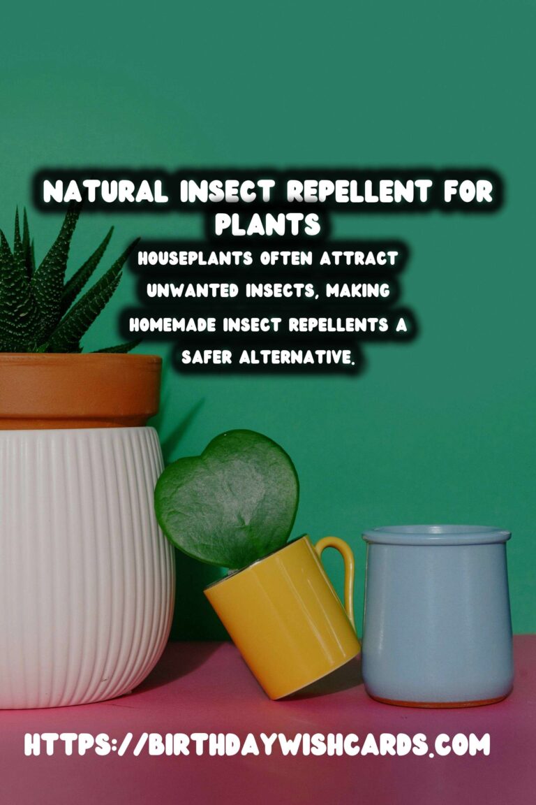Homemade Insect Repellent for Houseplants: Keep Pests Away Naturally