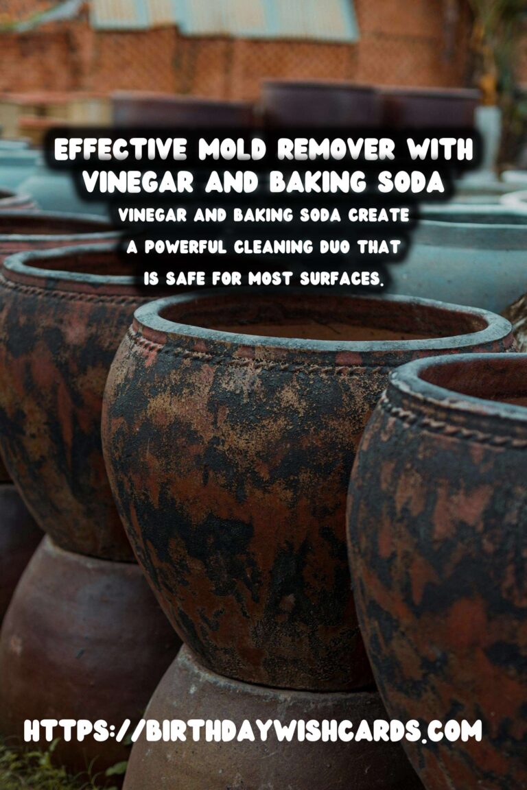 Homemade Mold & Mildew Remover with Vinegar & Baking Soda