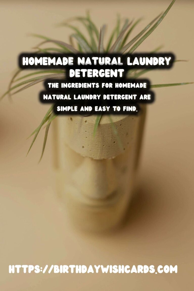 Homemade Natural Laundry Detergent: How to Make Your Own Eco-Friendly Cleaner