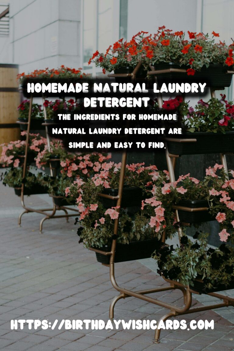 Homemade Natural Laundry Detergent: How to Make Your Own Eco-Friendly Cleaner