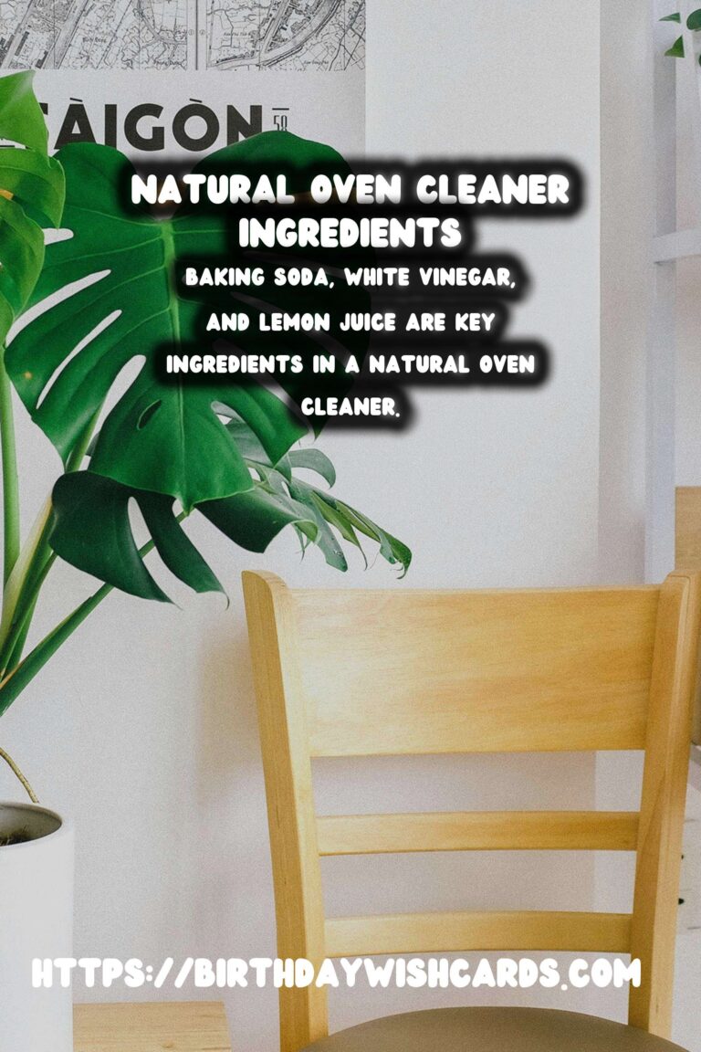 Homemade Natural Oven Cleaner Spray: A Safe and Effective Solution