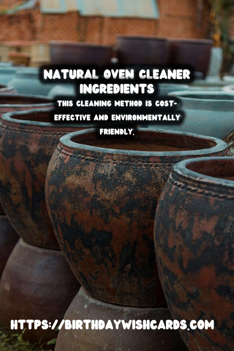Homemade Natural Oven Cleaner Spray: A Safe and Effective Solution