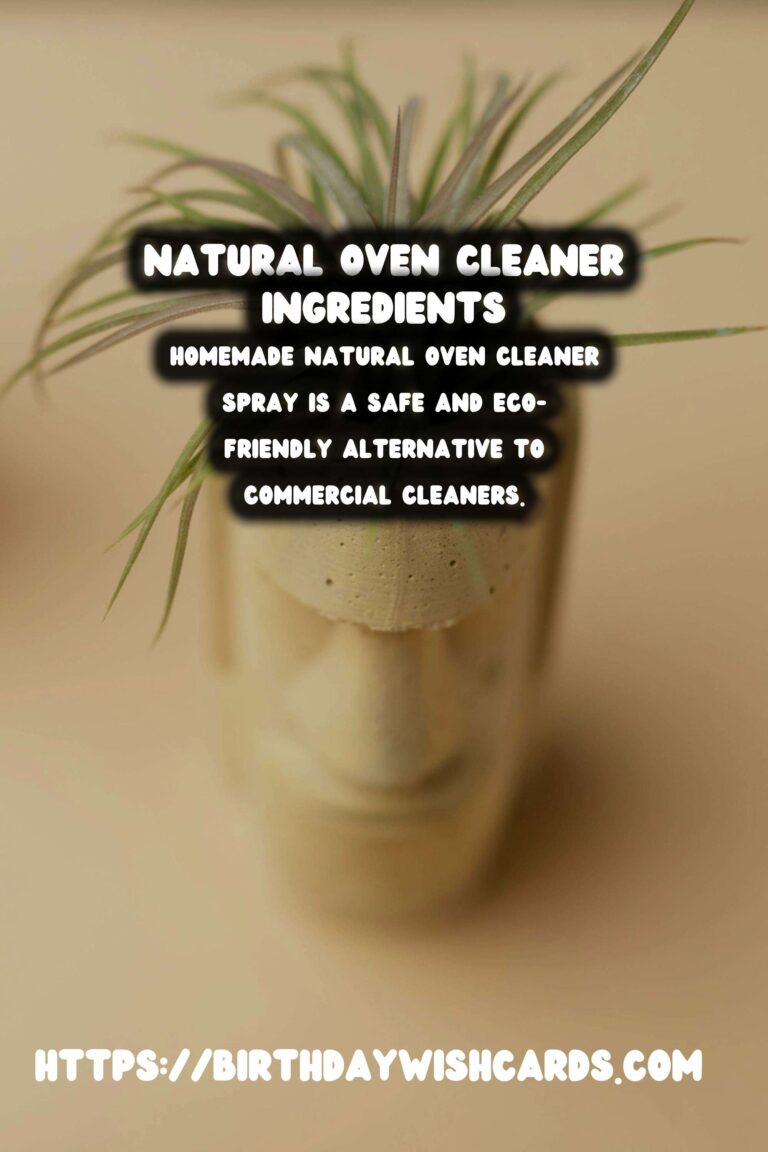 Homemade Natural Oven Cleaner Spray: A Safe and Effective Solution