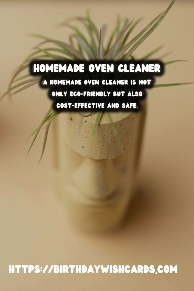 Homemade Oven Cleaner: No Harsh Chemicals