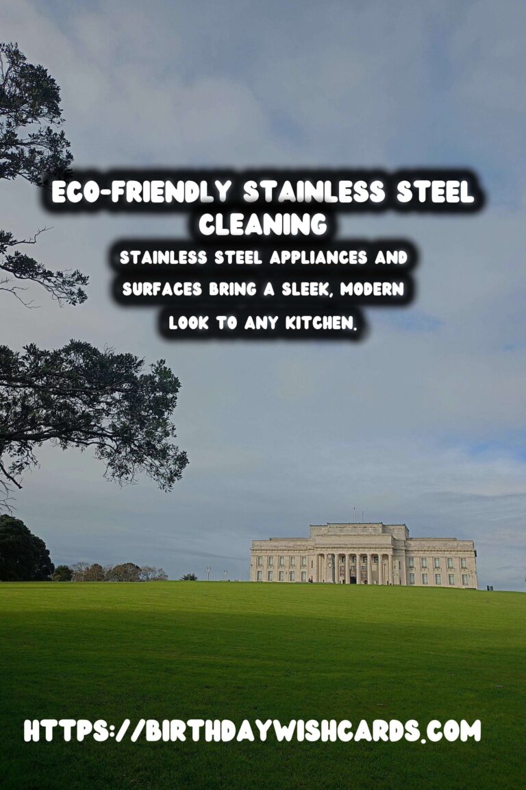 Homemade Stainless Steel Cleaner: A Chemical-Free Approach