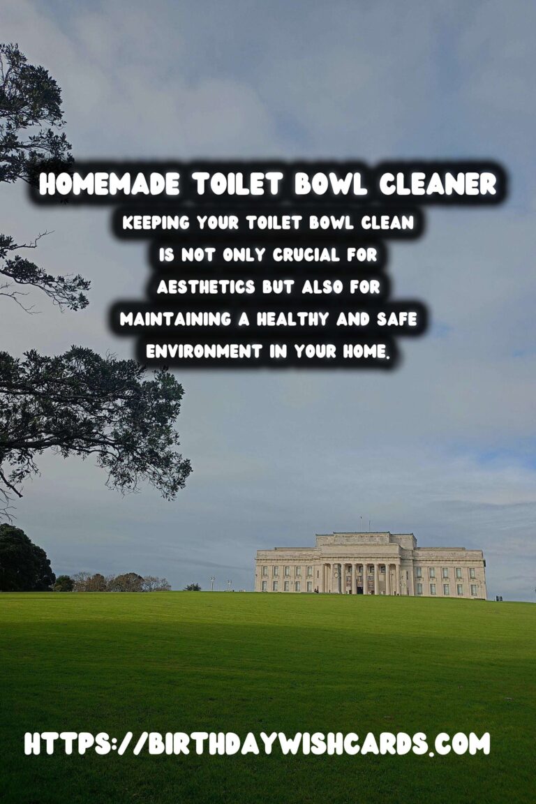 Homemade Toilet Bowl Cleaner: DIY Natural Disinfectant for Sparkling Results