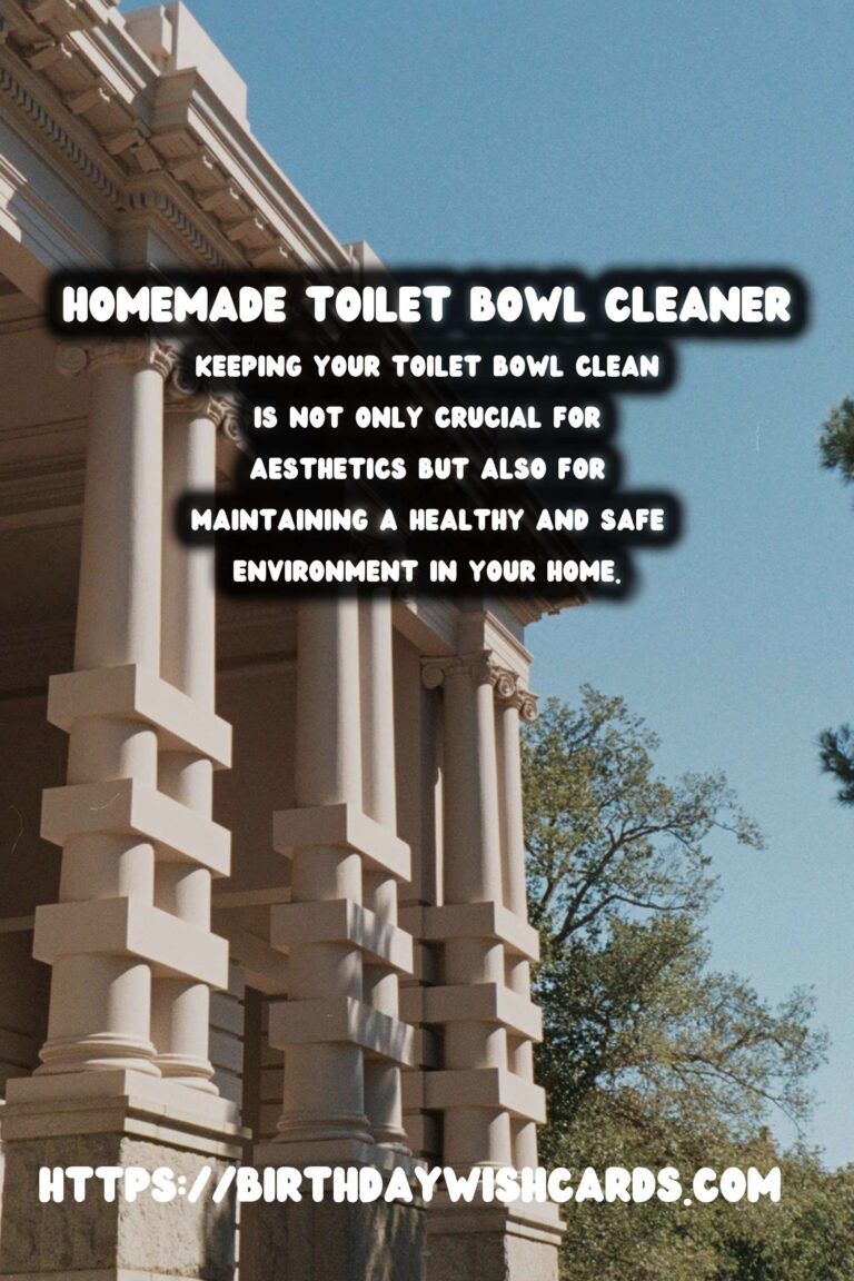 Homemade Toilet Bowl Cleaner: DIY Natural Disinfectant for Sparkling Results