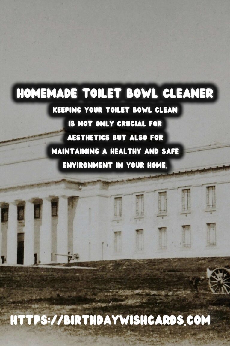Homemade Toilet Bowl Cleaner: DIY Natural Disinfectant for Sparkling Results