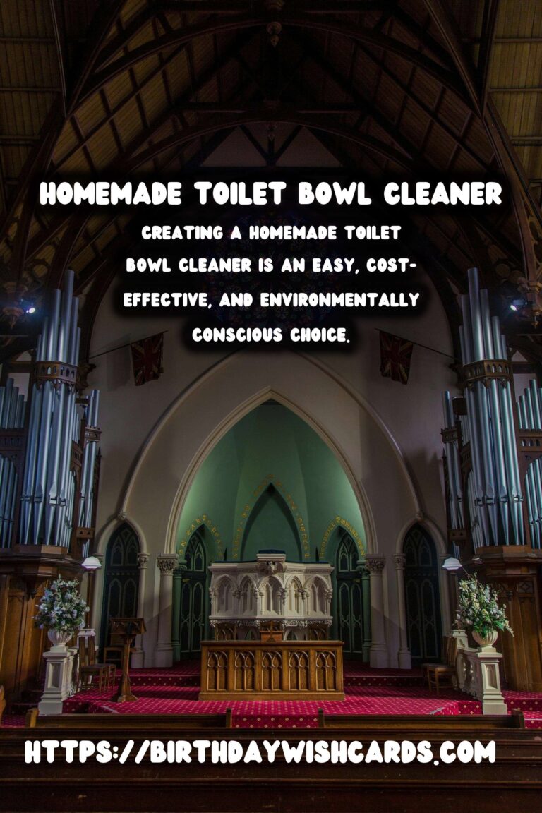 Homemade Toilet Bowl Cleaner: DIY Natural Disinfectant for Sparkling Results