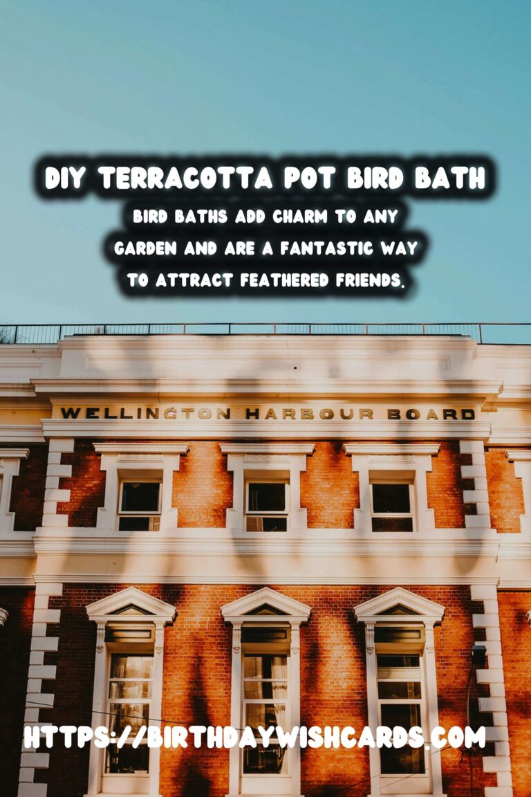 How to Create a Beautiful DIY Terracotta Pot Bird Bath