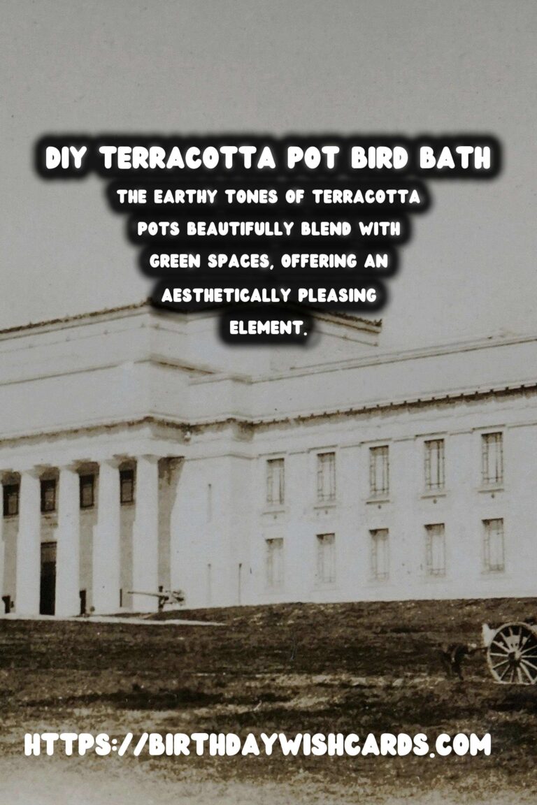 How to Create a Beautiful DIY Terracotta Pot Bird Bath