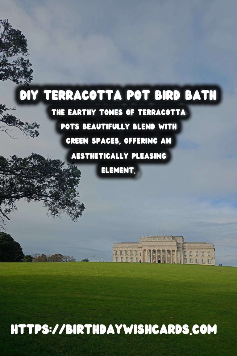 How to Create a Beautiful DIY Terracotta Pot Bird Bath