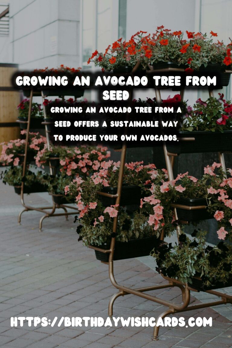 How to Grow an Avocado Tree from Seed in Soil: A Step-by-Step Guide