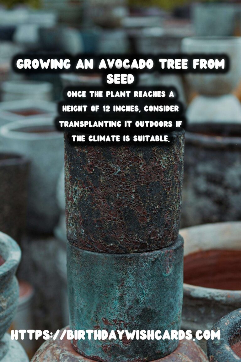 How to Grow an Avocado Tree from Seed in Soil: A Step-by-Step Guide