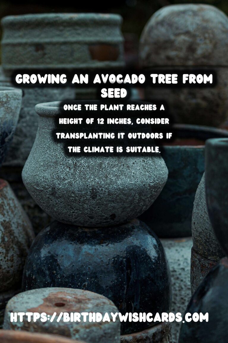 How to Grow an Avocado Tree from Seed in Soil: A Step-by-Step Guide