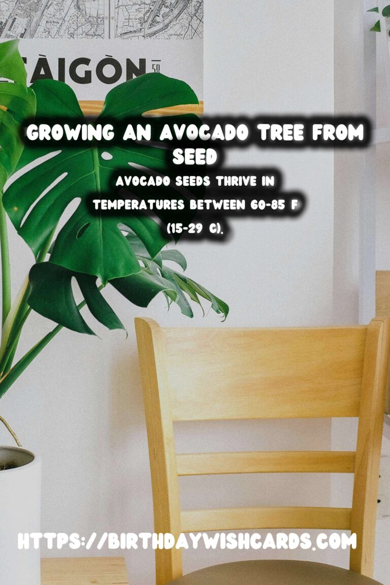 How to Grow an Avocado Tree from Seed in Soil: A Step-by-Step Guide