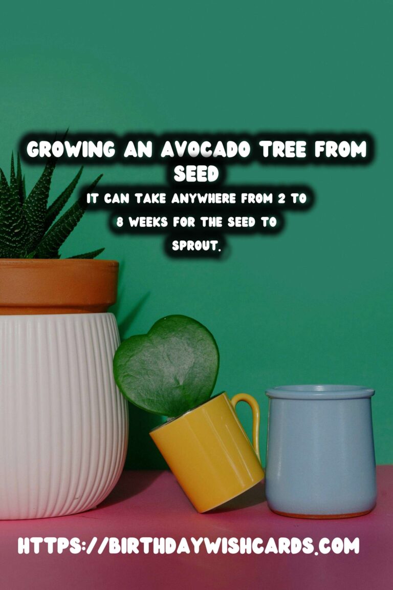 How to Grow an Avocado Tree from Seed in Soil: A Step-by-Step Guide