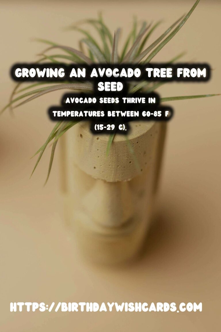 How to Grow an Avocado Tree from Seed in Soil: A Step-by-Step Guide