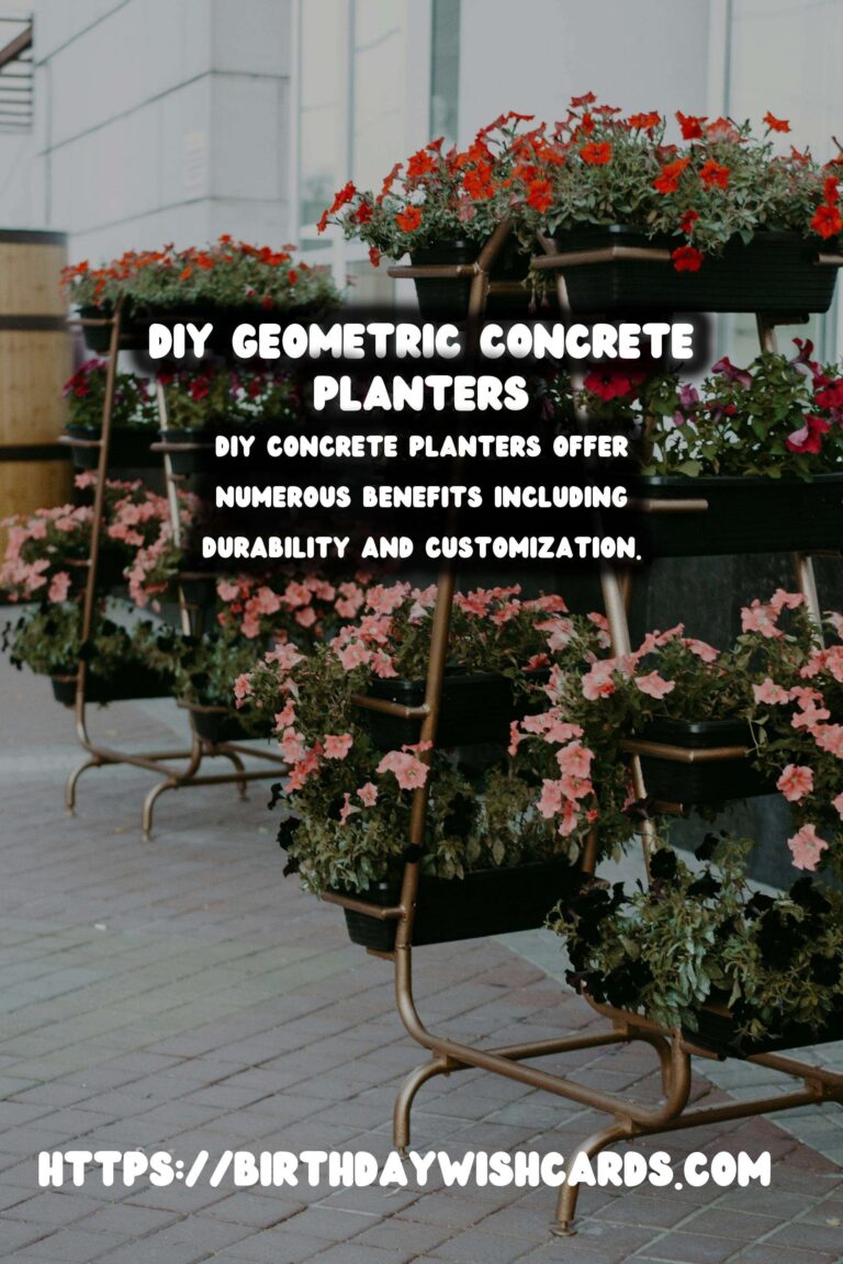 How to Make DIY Concrete Planters with Geometric Shapes