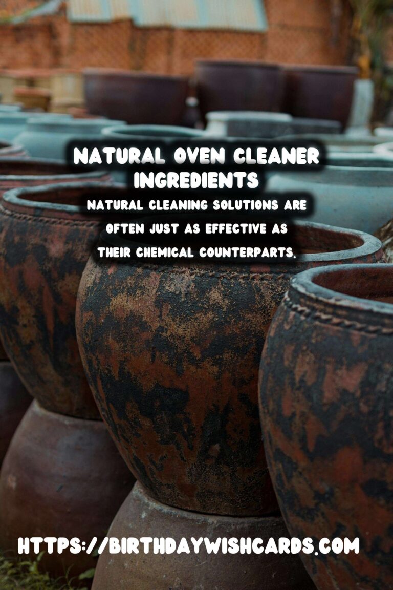 How to Make Homemade Natural Oven Cleaner Paste