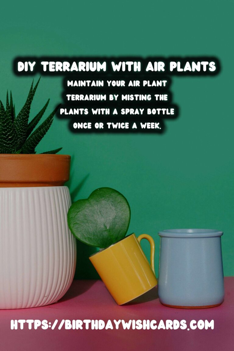 How to Make a DIY Terrarium with Air Plants: A Step-by-Step Guide