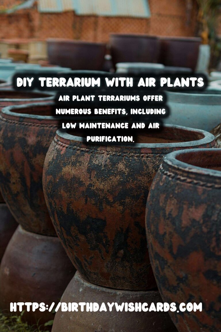 How to Make a DIY Terrarium with Air Plants: A Step-by-Step Guide