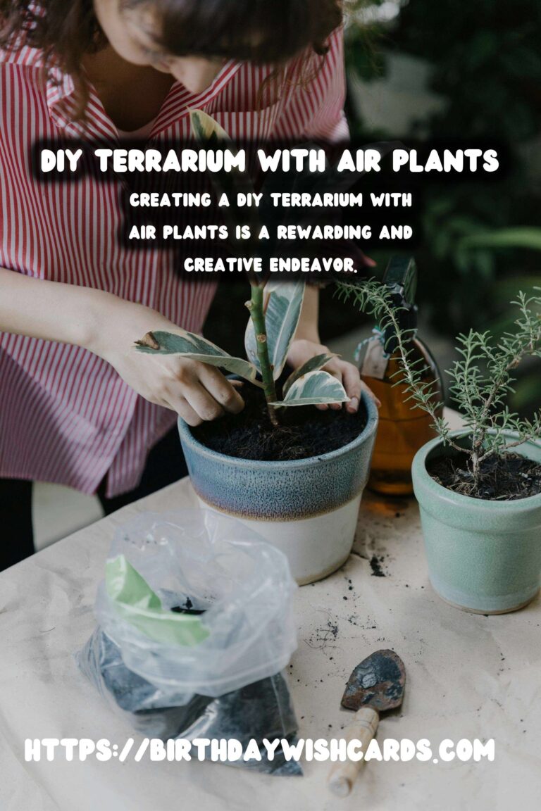 How to Make a DIY Terrarium with Air Plants: A Step-by-Step Guide
