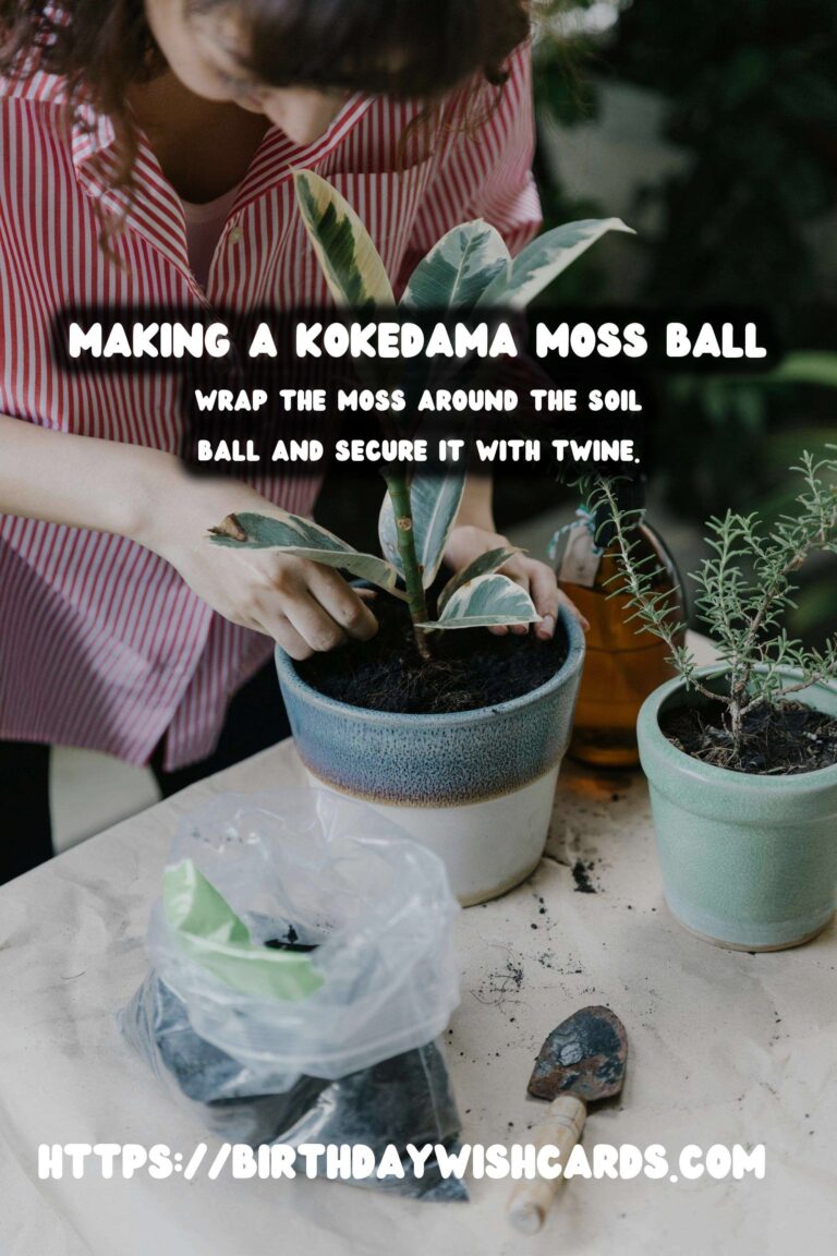 How to Make a Kokedama Moss Ball: A Step-by-Step Guide