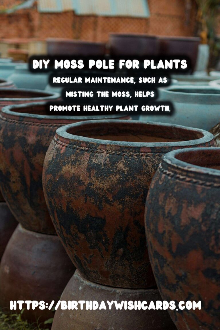 How to Make a Moss Pole for Climbing Plants: A Step-by-Step Guide