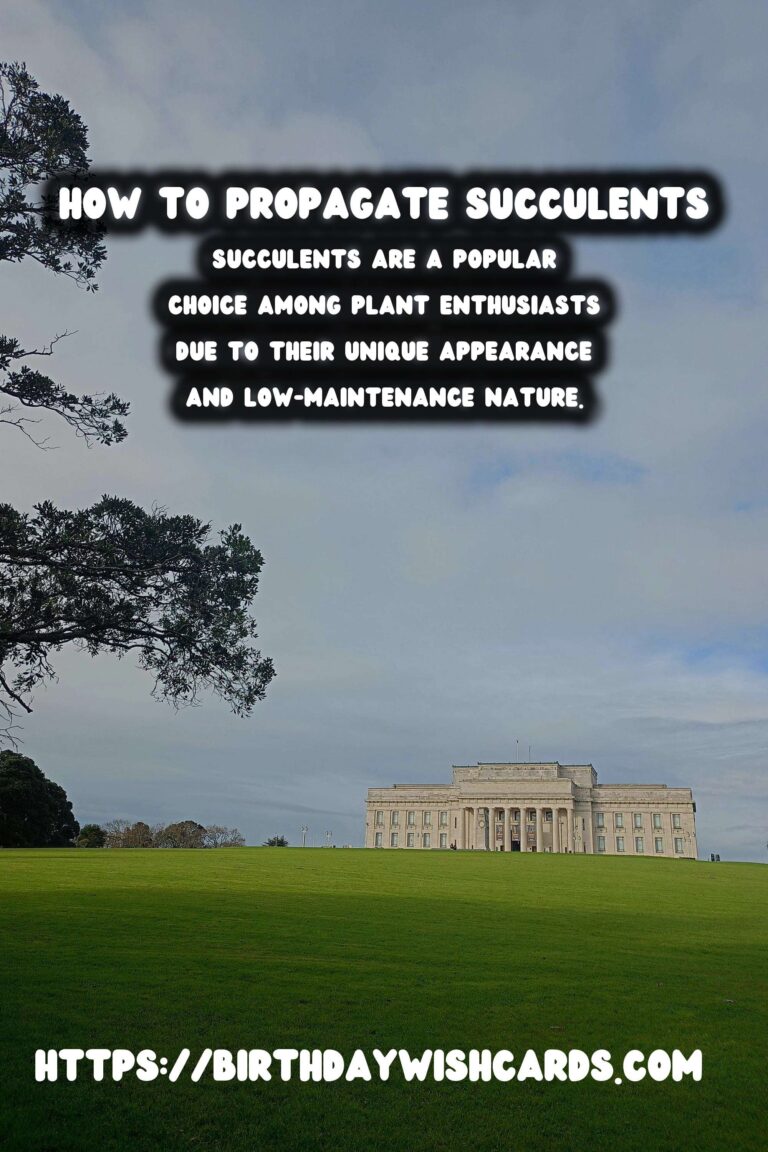 How to Propagate Succulents from Cuttings: A Step-by-Step Guide