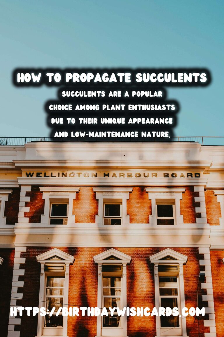 How to Propagate Succulents from Cuttings: A Step-by-Step Guide