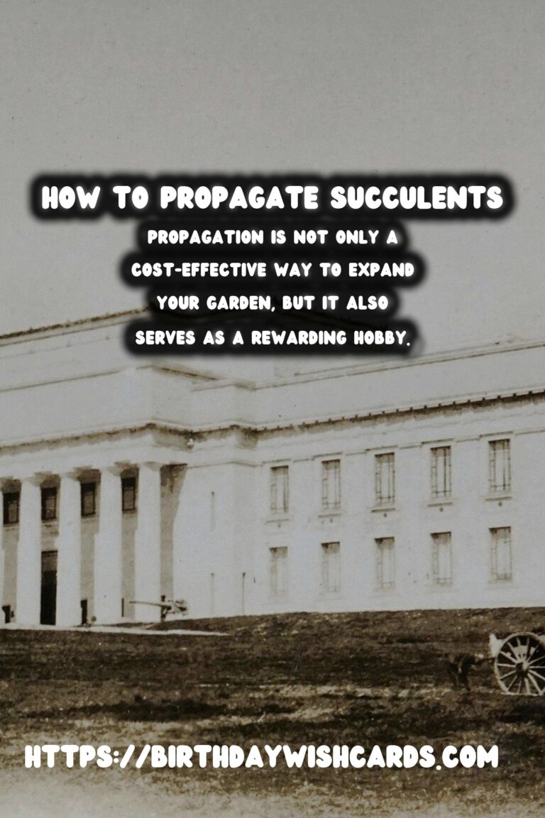 How to Propagate Succulents from Cuttings: A Step-by-Step Guide