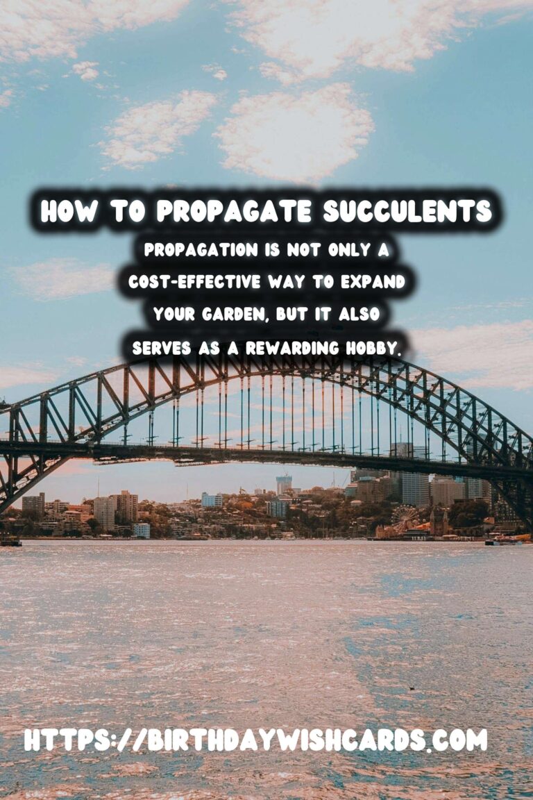 How to Propagate Succulents from Cuttings: A Step-by-Step Guide