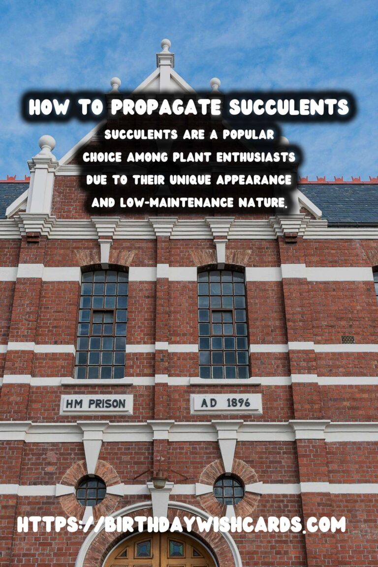 How to Propagate Succulents from Cuttings: A Step-by-Step Guide