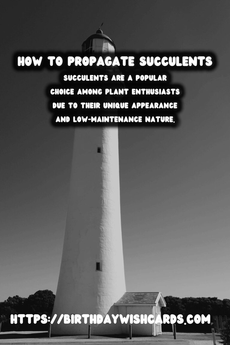 How to Propagate Succulents from Cuttings: A Step-by-Step Guide