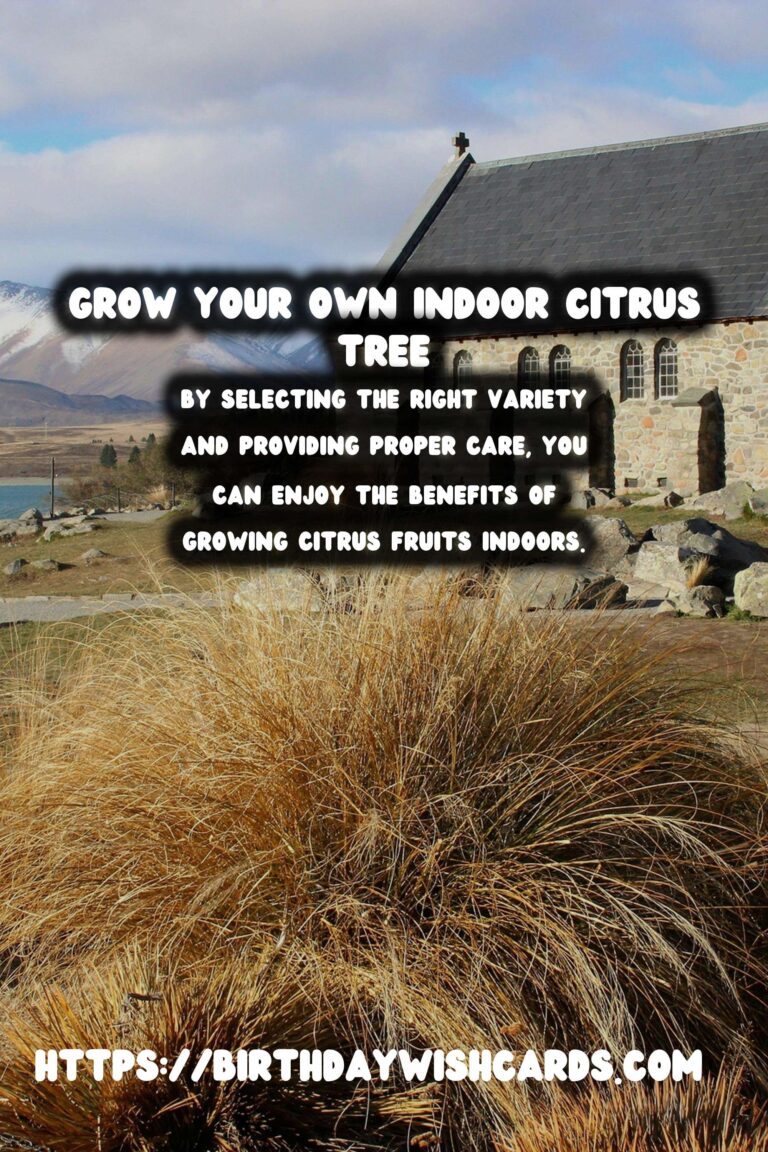 Indoor Citrus Trees: Growing Your Own Fruit at Home
