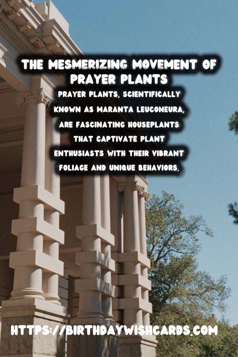 Mastering the Art of Caring for Prayer Plants: Discover Their Unique Movements