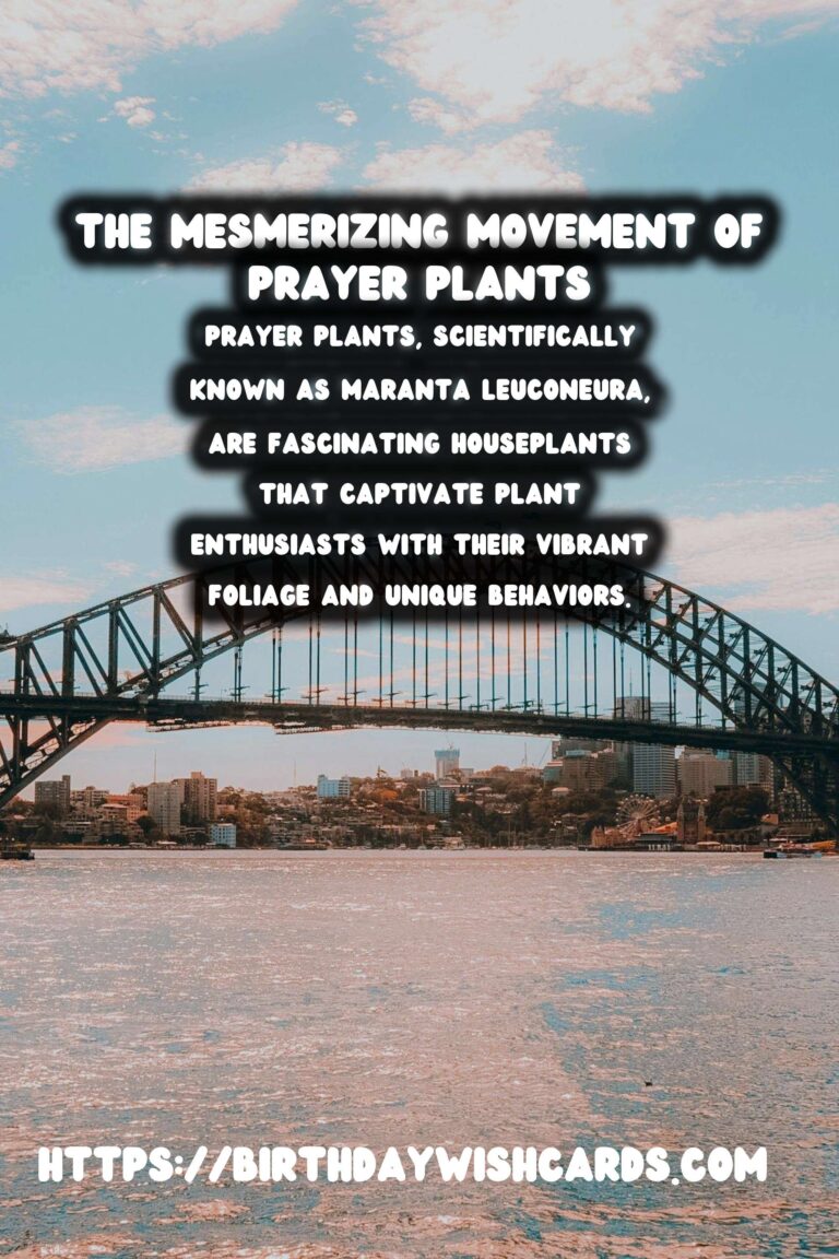 Mastering the Art of Caring for Prayer Plants: Discover Their Unique Movements