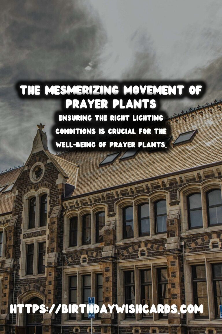 Mastering the Art of Caring for Prayer Plants: Discover Their Unique Movements