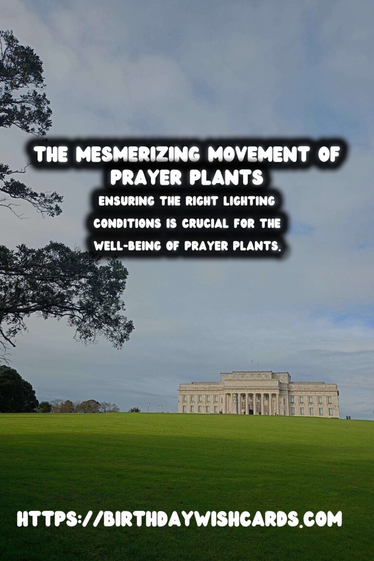 Mastering the Art of Caring for Prayer Plants: Discover Their Unique Movements