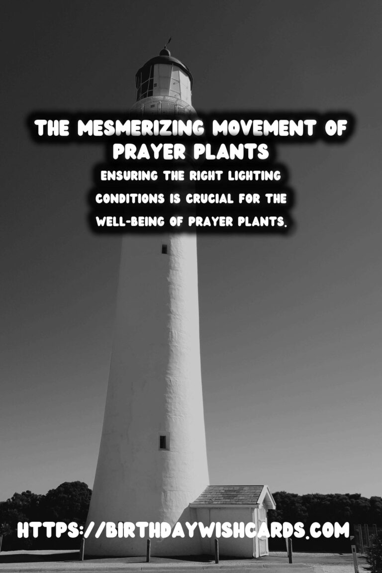 Mastering the Art of Caring for Prayer Plants: Discover Their Unique Movements