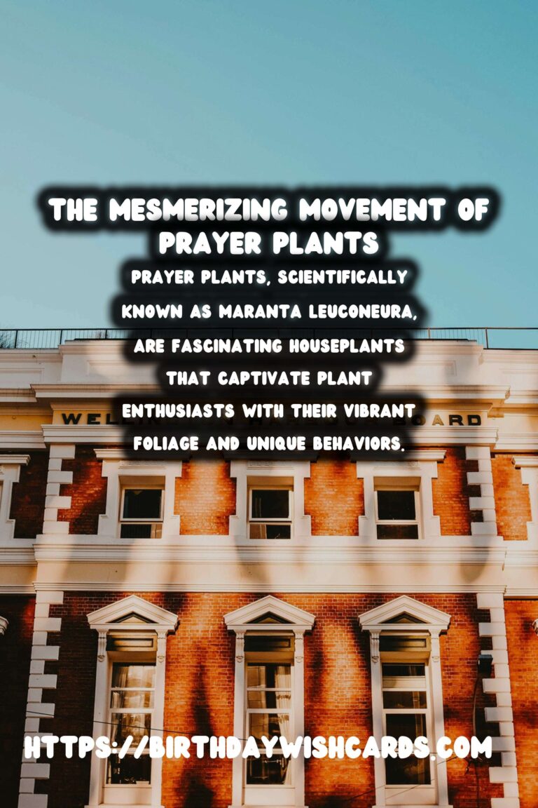 Mastering the Art of Caring for Prayer Plants: Discover Their Unique Movements