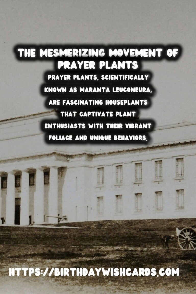 Mastering the Art of Caring for Prayer Plants: Discover Their Unique Movements