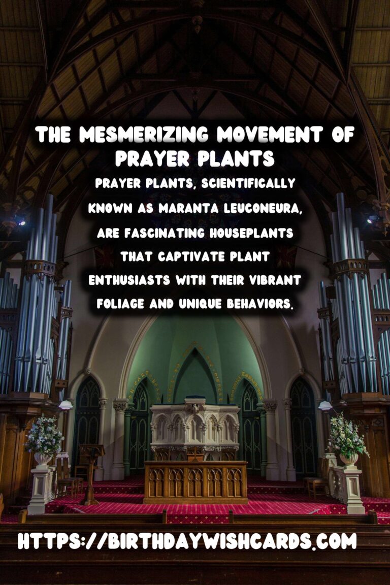 Mastering the Art of Caring for Prayer Plants: Discover Their Unique Movements