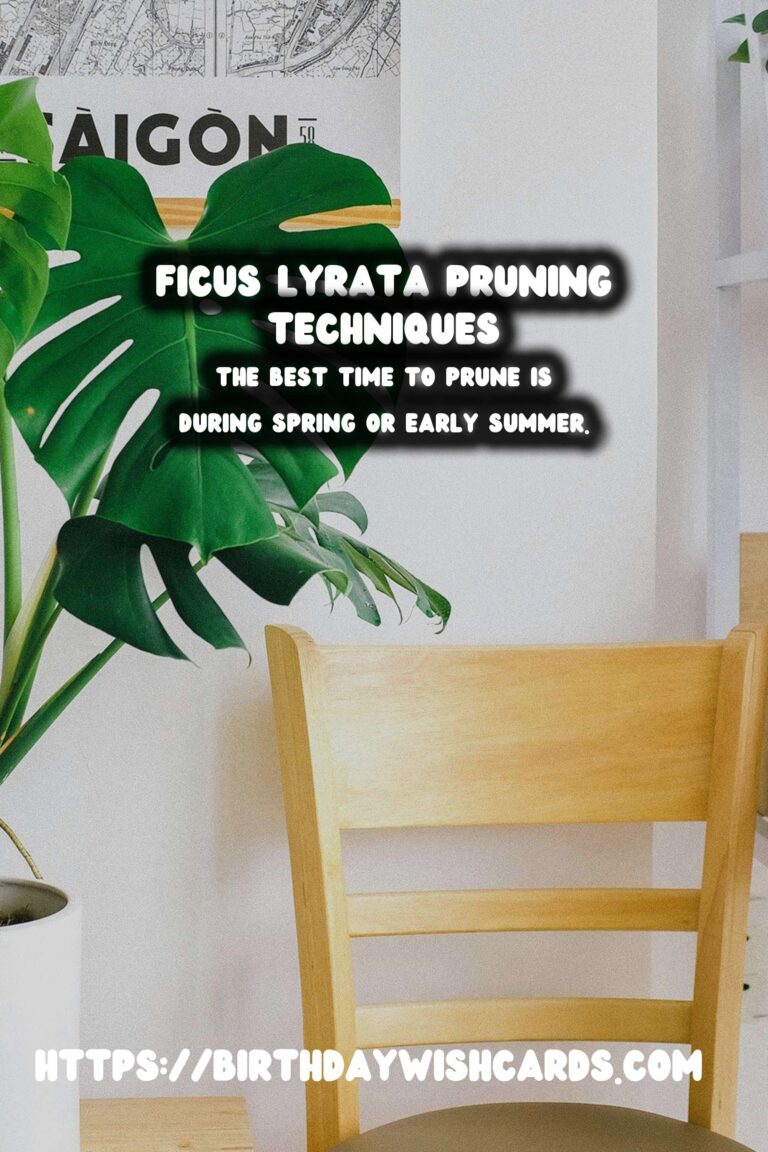 Mastering the Art of Pruning Ficus Lyrata for Optimal Growth