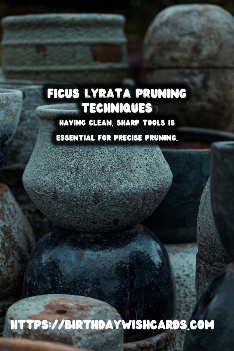 Mastering the Art of Pruning Ficus Lyrata for Optimal Growth
