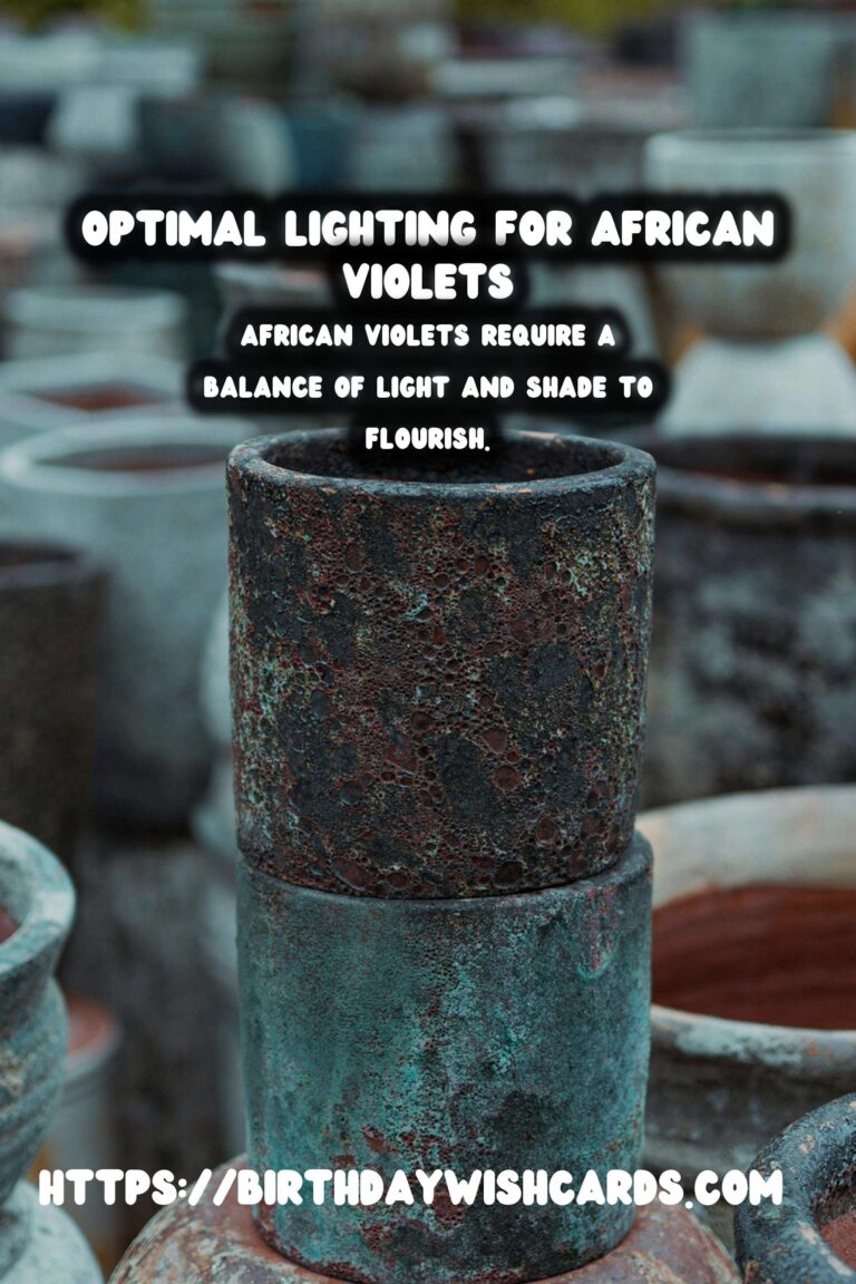 Optimal Lighting for African Violets to Enhance Blooming