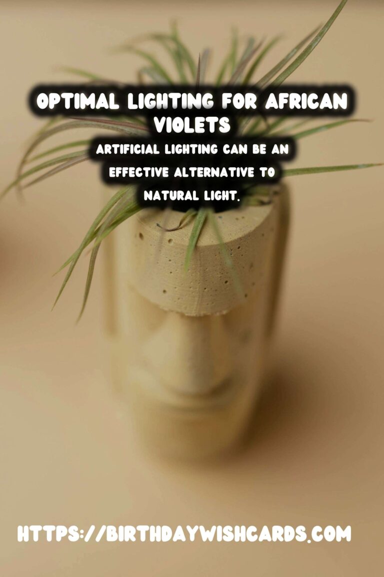 Optimal Lighting for African Violets to Enhance Blooming