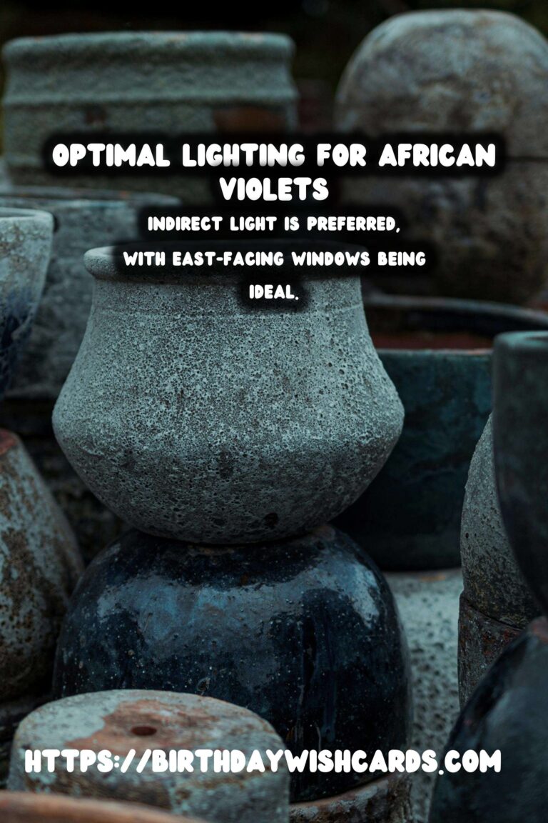 Optimal Lighting for African Violets to Enhance Blooming